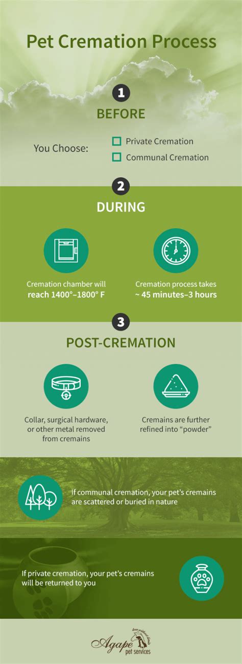 Exploring Pet Cremation: Your Ultimate Guide.